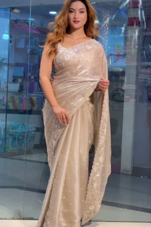 Party Modern Embroidered with Heavy Border Organza Brown Saree with Unstitched Blouse