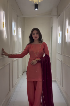 Mauve Purple Embroidered Net Suit with Sequins & Organza Dupatta 💜✨