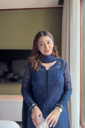 Midnight Blue Embroidered Georgette Anarkali Suit