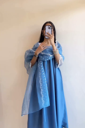 Graceful Festive Wear